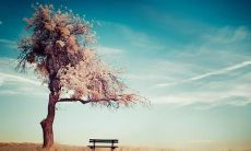 在万千细节中体现的温暖亲情之句