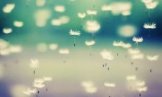 欢迎进入新的一年，祝你度过愉快的时光并充满幸福和快乐！