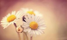 分享开心可爱的句子，表达心情的短语，带着欢乐与积极面对生活！