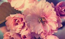 分享心情的英文句子：表达亲情感动的句子，让你感动到泪流满面！