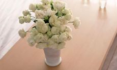 胖了带来了快乐和烦恼的复杂情感：开心又不开心的句子