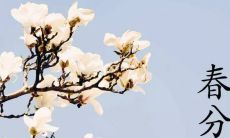 2021年春分来临，欢送寒冬！祝愿您享受春意盎然、和风细雨的美好时光，弘扬春天的温馨，分享向日葵般的微笑，收获成功的喜悦，快乐过好每一天！