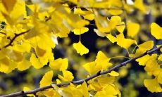 如何使用言语表达来哄迎你的伴侣并增进他们的快乐感：一些有效的哄老婆开心的话术建议