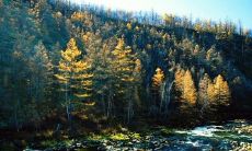 在这个温度逐渐升高的季节里，我们发送问候短信难免会因天气热而感到困扰