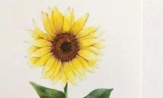 鼓舞人心的英语加油口号，激励运动员在运动会中全力拼搏！