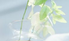 欣喜若狂的用语，以表达接到爱人电话的感受