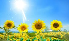 经典美好阳光金句，传递正能量，让人感受生活的美好！