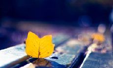 写一些表达亲情的感人句子，让你感受到无尽的亲情之情