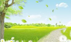 关于亲情的哲思：深明大义、关爱至诚和真切情感的启示句子