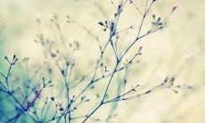 2022年四月，迎接唯美小清新风格的朋友圈说说！