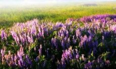 独具创意的创业团队名称和令人难忘的口号：如何设计让人印象深刻的创业品牌身份？