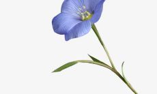 欢乐透着深沉的情感的含蓄句子