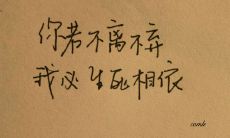 感人至深的“不离不弃”句子，令人动容不已