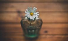 心情愉悦的句子——当收到鲜花时，开启快乐模式