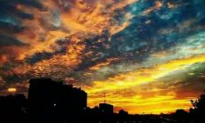 用优美句式表达感激父亲的话语，向他们致敬和敬意