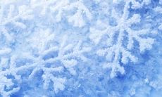 在雪中玩耍带来的快乐和兴奋的美妙描述