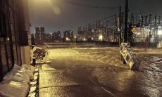 痛彻心扉的情感表达：让内心沉浸在忧伤和伤感之中的句子