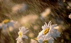 成长和成熟：一个人经历的不同阶段和所得到的宝贵经验