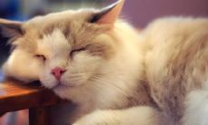 透过美丽的语言，让自己美丽起来的励志句子推荐