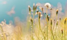 用最真挚的语言表达对亲情的感激，传达回报和珍惜的决心