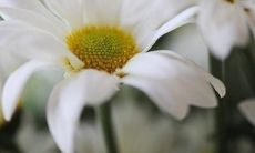 以下是关于亲情的温暖短句子，能够触动心灵并让我们深深感受到爱和温馨