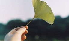 在朋友圈持续掀起热议、刷爆屏幕的那句话