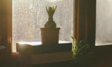 一组让人心情愉悦的句子，带你远离忧虑与烦恼