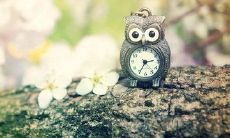 短信问候语客户春季，化干戈为玉帛，共迎未来发展商机