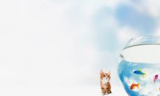 哪些句子能让人感慨开心？分享一下让你感受心情愉悦的开心感慨句子！