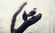 一系列表达感恩和奉献的长句，激励正面积极情感积累，凝聚社会共识与向心力！