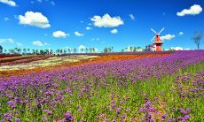 祝您在春季里健康愉快，不被昼夜温差大所困扰，特来致以问候之短信