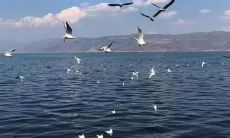 当感情破裂时，挥之不去的心碎感:探索受伤人的内心痛苦与苦闷之情式语句