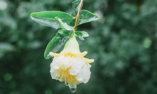 在朋友圈分享幸福的话语，诉说自己内心的喜悦和快乐