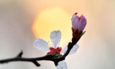 细数那些感动心灵、唤起深深情感的守望亲情的唯美句子