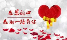 涵盖各种场合和情境的感恩之辞大集合