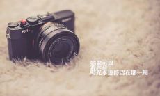 探讨亲情令人失望的现实：一系列的句子和见解