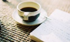 探讨表达伤心失望情绪的常见短语，以及它们在日常生活中的运用