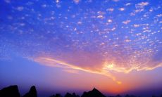 纪念元宵佳节，用短信传递真挚的爱情问候