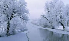 精选下雪时刻的朋友圈最佳唯美文案推荐