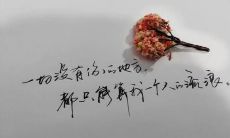 如何让曾抛弃你的人深深地后悔自己的选择并对你产生强烈的愧疚之情？