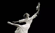 享受跳舞的愉悦，使人感到快乐无比的舞蹈句子