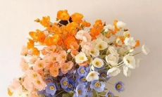 温馨简短的带有爱意的情感表达语句