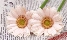 50句让你爱不释手、惹人喜爱的精致微信状态文案，打造自己的个性风格！