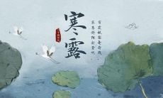 寒露分享朋友圈祝福语，为你的社交媒体生活注入快乐与温暖！