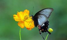 浓浓的亲情，细腻的情感：一组充满感染力的句子描述亲情的深刻之处