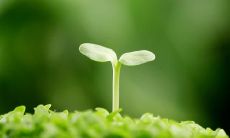 创造发自内心的感人情感句子，表现亲情之间的深情厚爱与感动场景