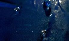 勇敢而深情的句子：探寻坚韧内心所需的勇气与慈悲