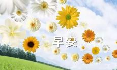 早安！揭晓高智商魅力，如何通过巧妙情话套路斩获TA的芳心！