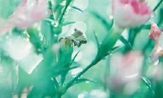 如何用言语哄抚男朋友不开心的情绪？