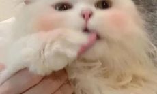 利用一句话展现温暖气质的简单说说，尽显温馨人生之道